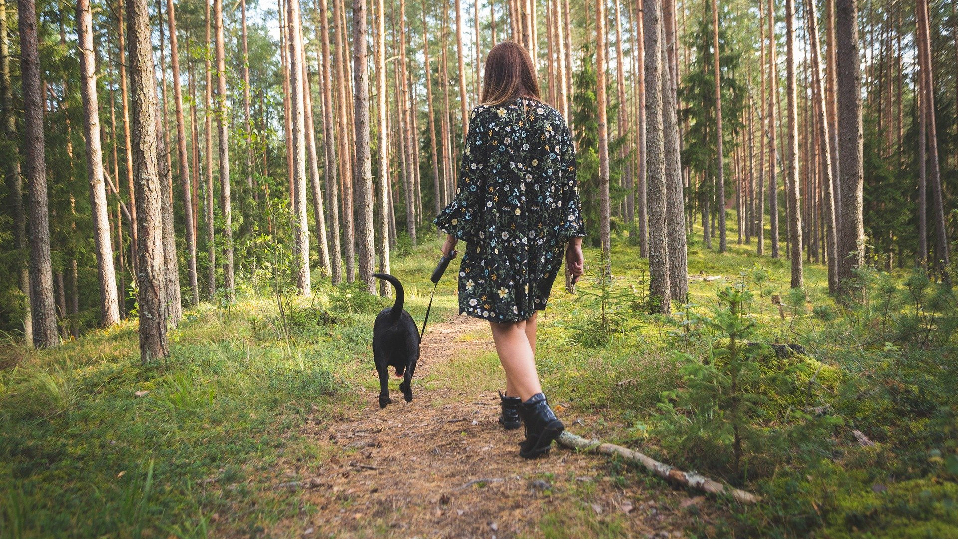Frau spaziert mit Hund durch den Wald