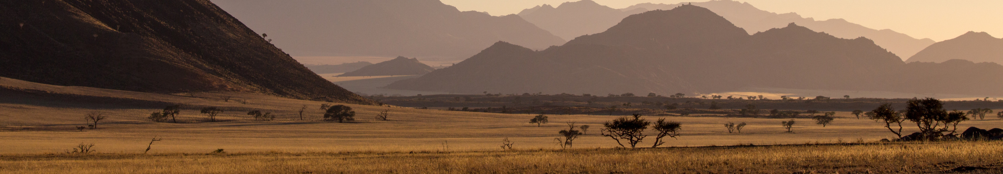 Weite Savannenlandschaft in warmem Abendlicht mit einzelnen Akazienbäumen, sanften Hügeln und einer Bergkette im Hintergrund unter klarem Himmel.