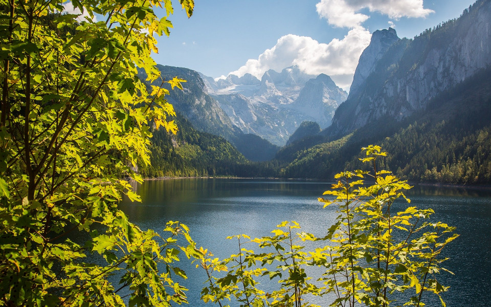 Wald und Seelandschaft in Österreich