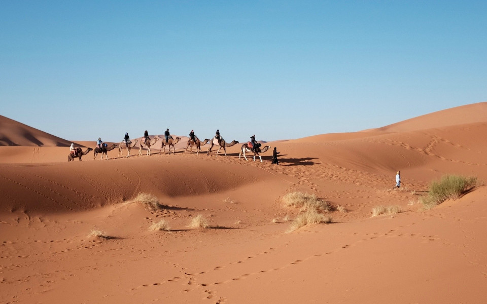 Wüste mit Kamelkolonne in Ras AI Khaiman
