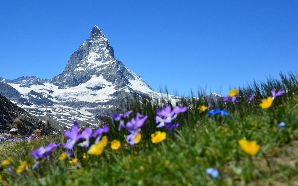 Berg und Wiesenlandschaft in der Schweiz