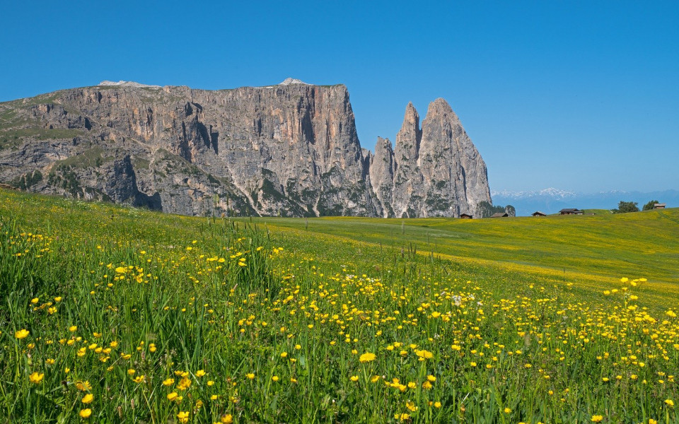Wiesen- und Felslandschaft in Südtirol