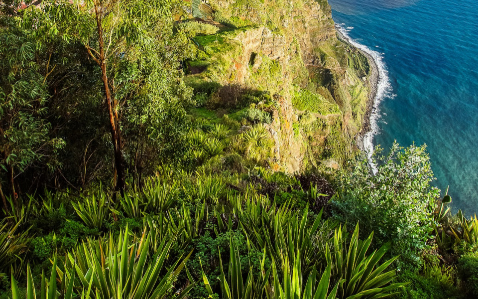 Naturlandschaft auf Madeira