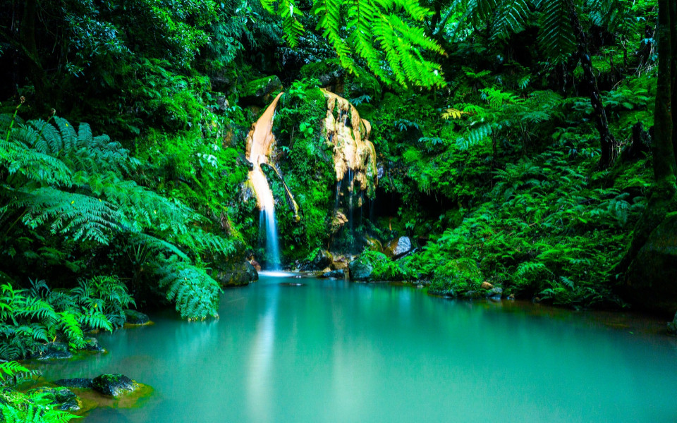 Naturlandschaft mit Wasserfall auf den Azoren