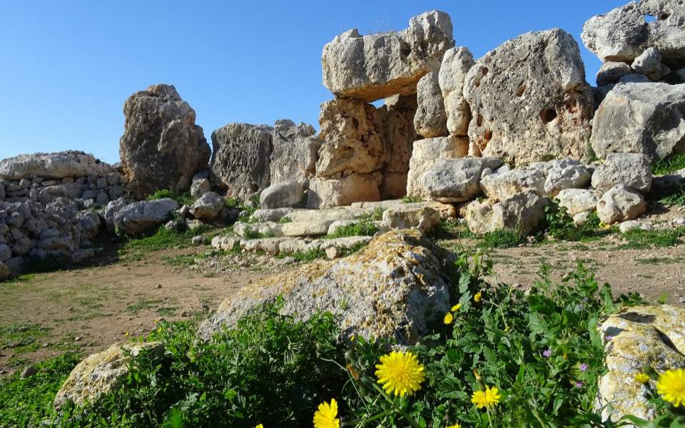 Gesteine des Ġgantija-Tempel auf Malta