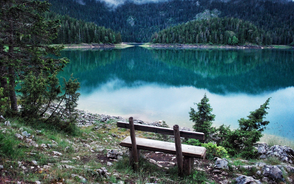 Sitzbank am See mit Waldlandschaft