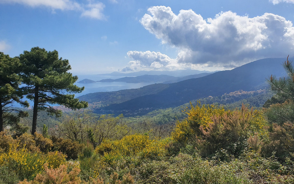 Naturlandschaft Elba