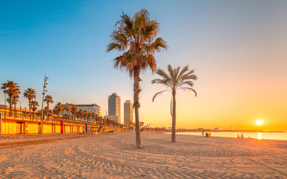 Strand von Barcelona mit Palmen und Sonne