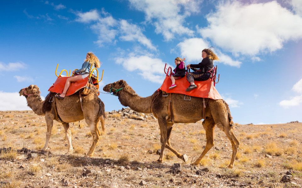 Kinder reiten in der Wüste auf einem Kamel