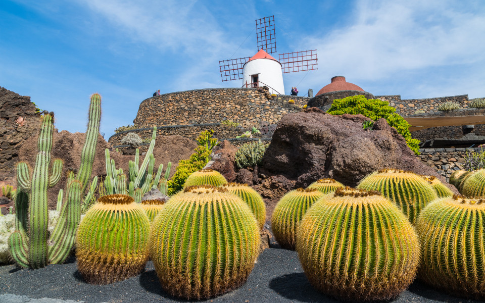 Cactus Garden in Guatiza, Lanzarote