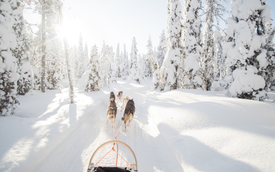 Winterurlaub in Lappland