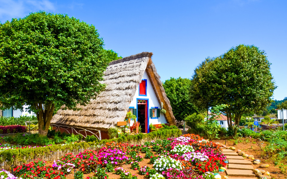 Natur-und Winterparadies Madeira
