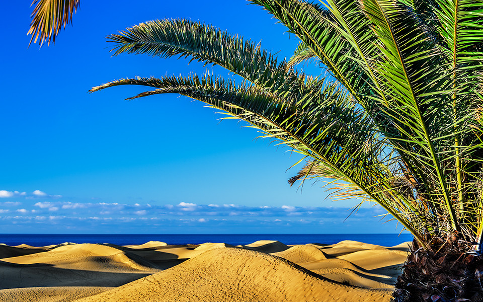 Gran Canaria - Insel der vermeintlichen Gegensätze