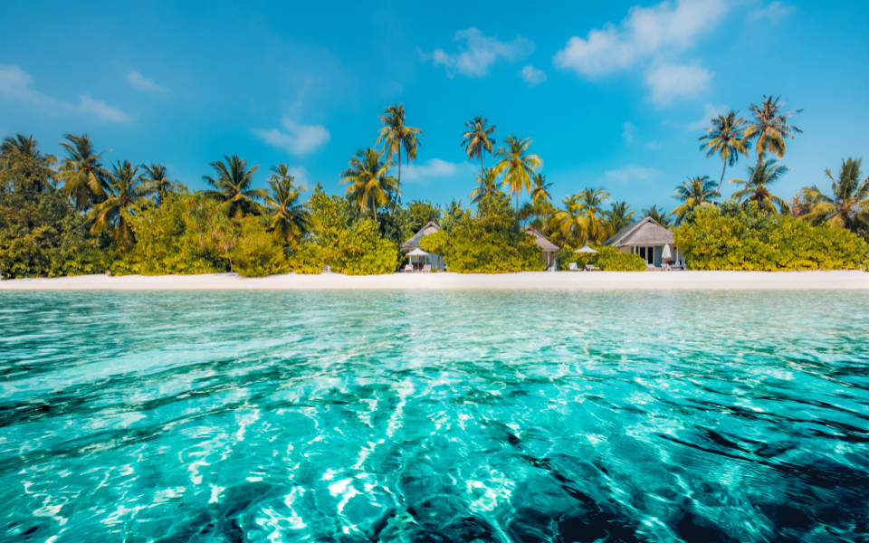 Tropische Insel mit Palmen, weißem Sandstrand und türkisblauem Meer auf den Malediven