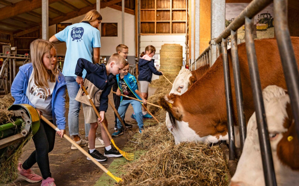 TUI Kinderfestpreise