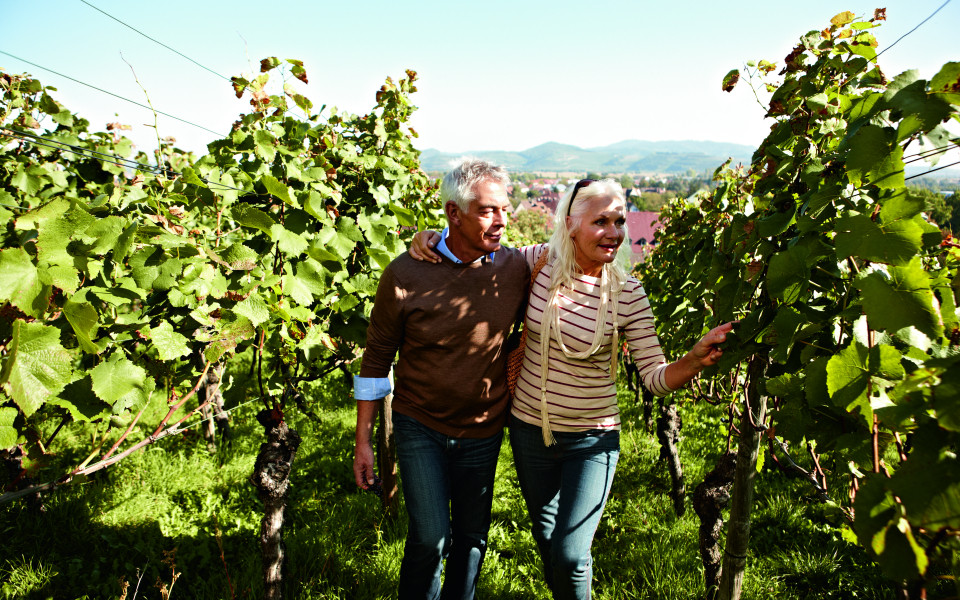 Bild Kreuzfahrt 7 Nächte ab/bis Köln