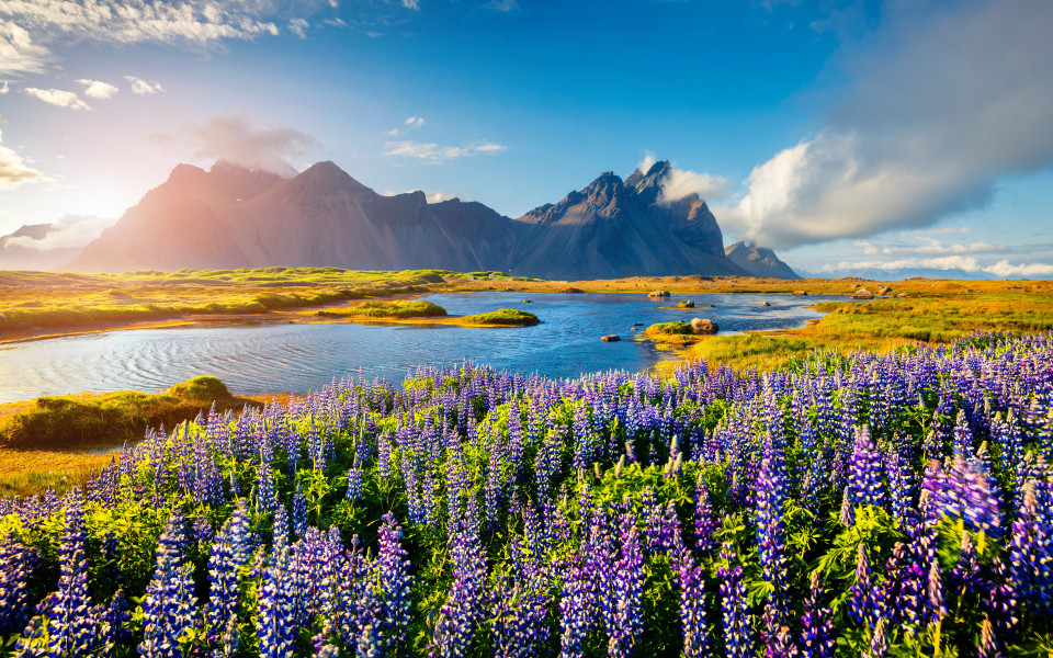 Bild Kreuzfahrt 18 Nächte ab/bis Kiel