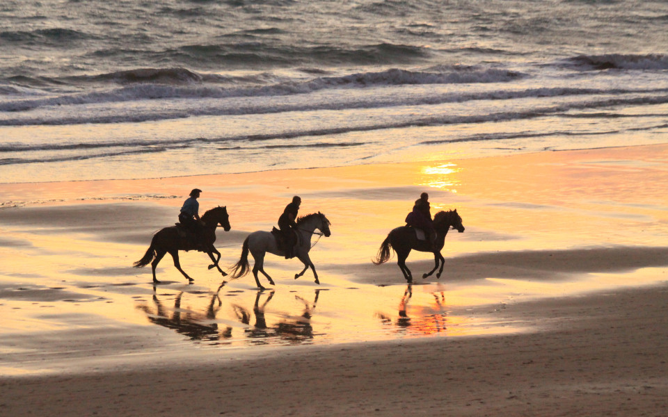 Reitausflug am Meer bei Sonnenuntergang in Andalusien