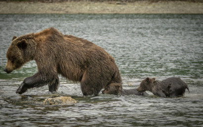 Bild Kreuzfahrt 10 N&auml;chte  ab Vancouver bis Seward