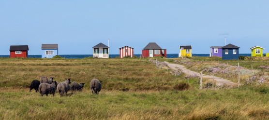 Dänemark entdecken